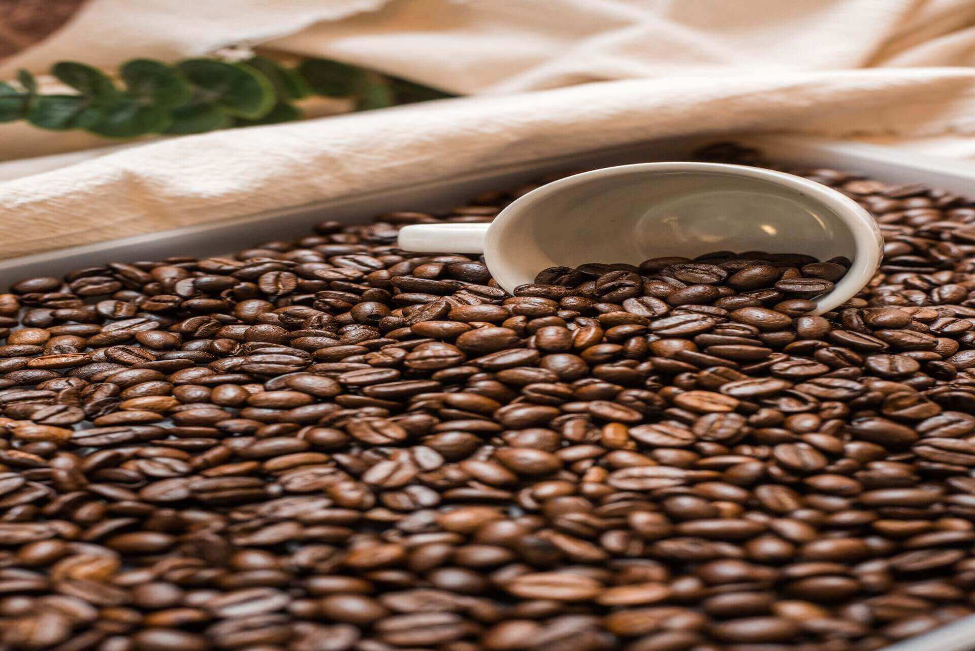 Bolsa con granos de café y una taza